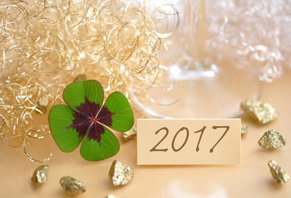 Bonne année 2017 Institut la douce heure